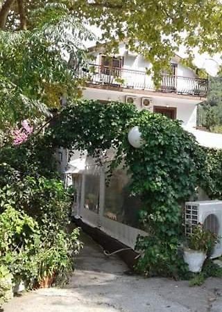 Bed and Breakfast Pansion Mimoza Herceg Novi Esterno foto