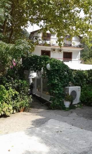 Bed and Breakfast Pansion Mimoza Herceg Novi Esterno foto