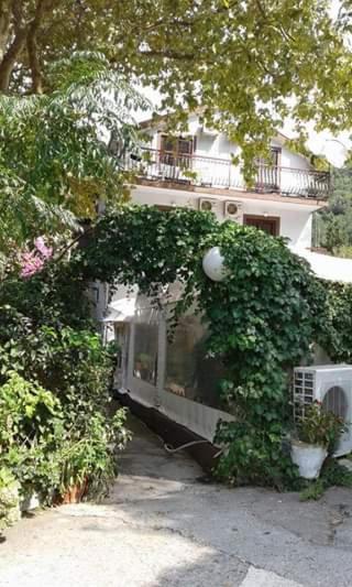 Bed and Breakfast Pansion Mimoza Herceg Novi Esterno foto